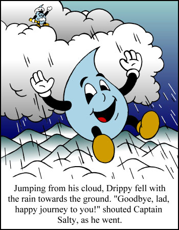 Drippy® the raindrop's Water Cycle - Page 11 - Drippy the Raindrop