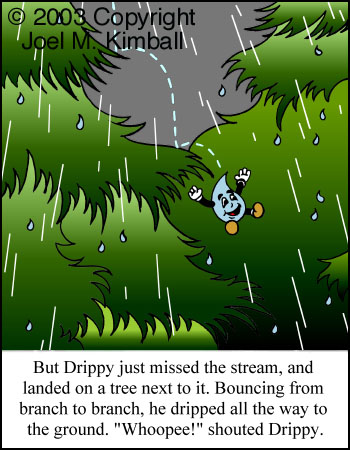 Drippy, the, Raindrops, raining, drops, waters, cycles, environments, children's books, childrens books, childrens stories, children's stories, clouds, oceans, weather seas, lakes, streams, creeks, rivers, mountains, adventures, science, evaporate, evaporation, evaporating, condense, condensation, condensing, precipitate, precipitation, precipitating, Joel, Kimball